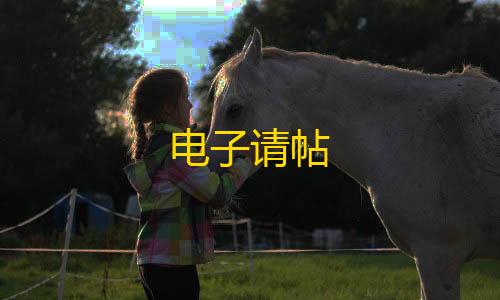 全网科技低价货源辅助电子请帖